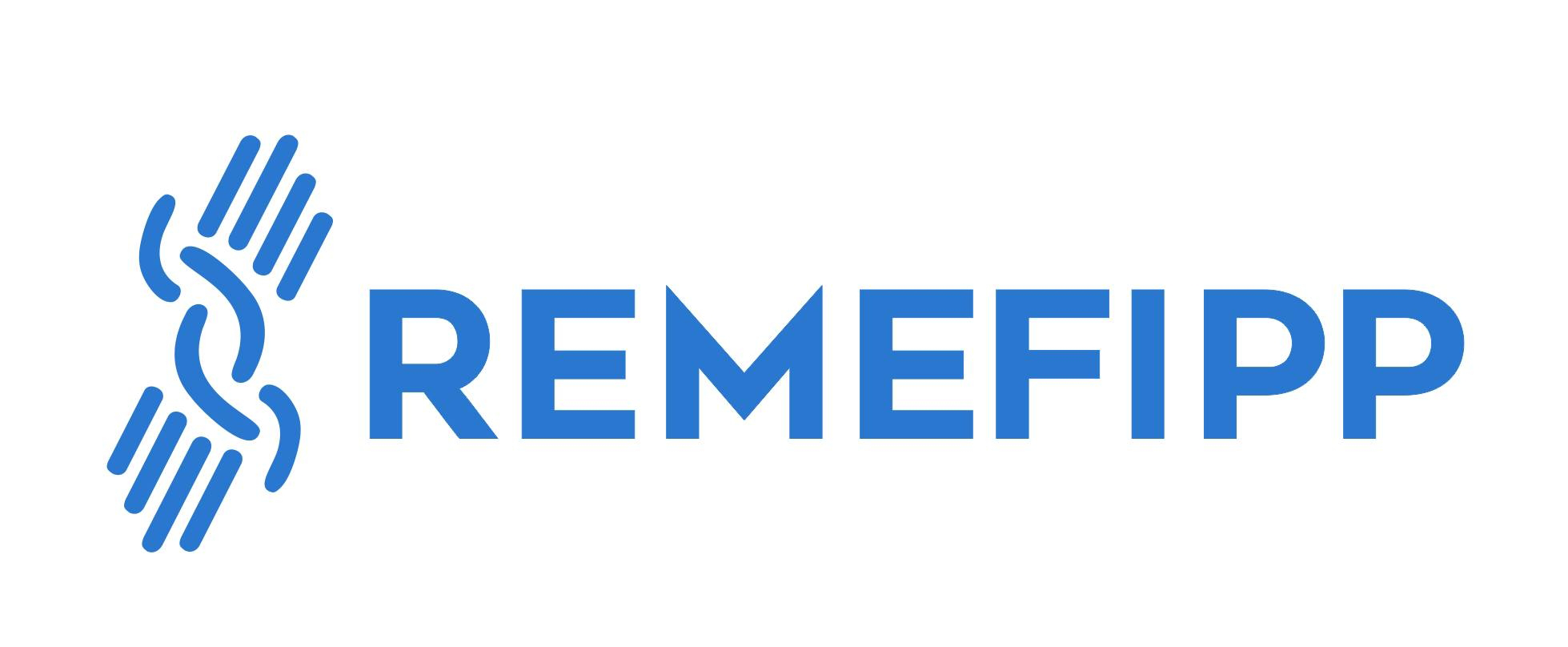 Logo REMEFIP